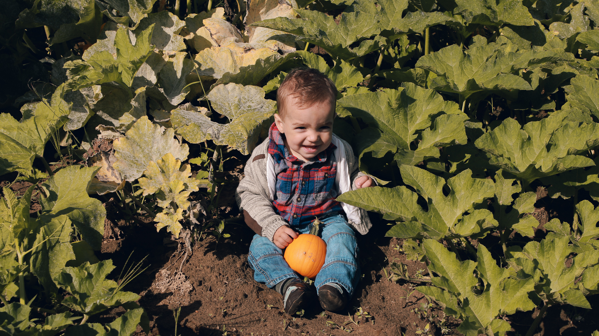 Food & Farm photography