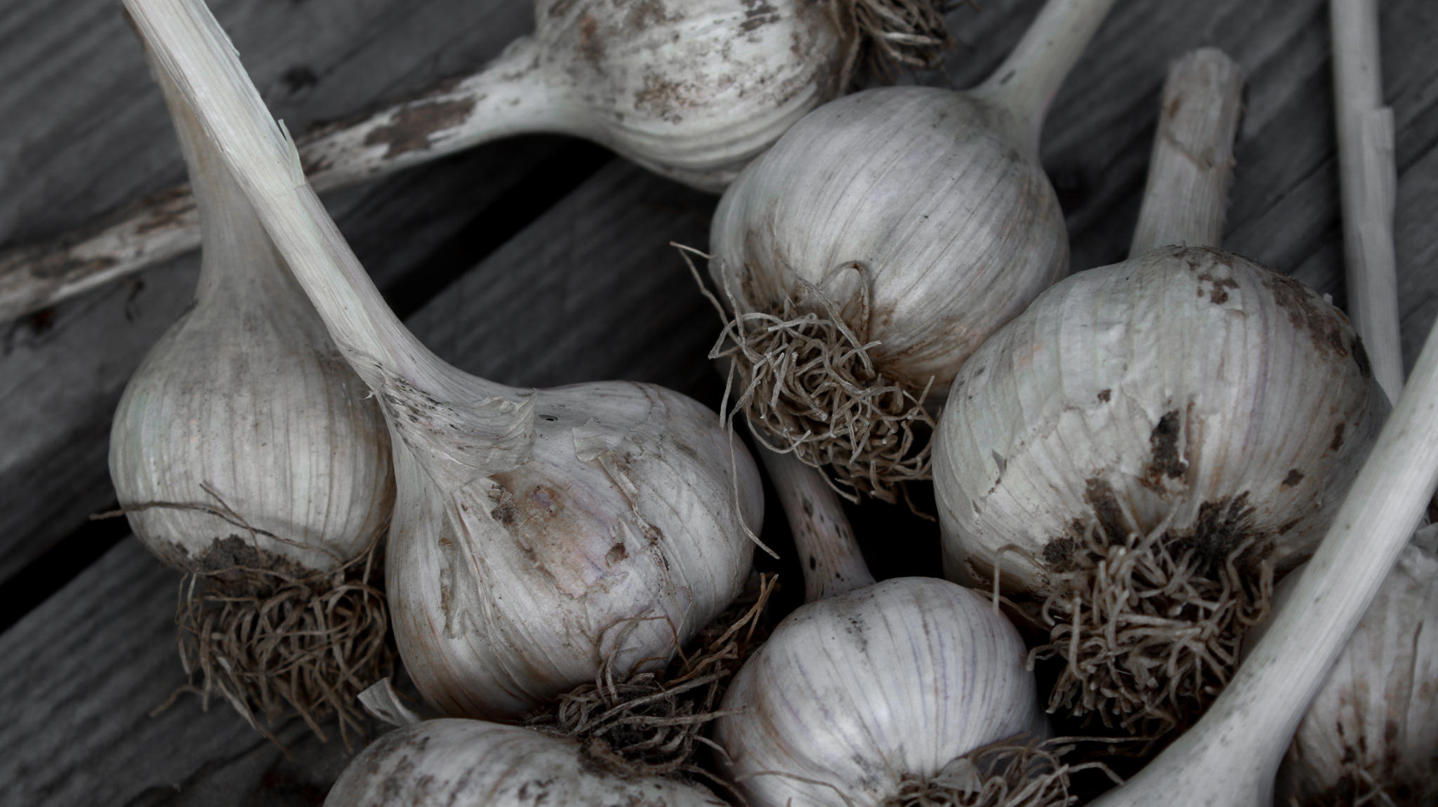 Food & Farm photography